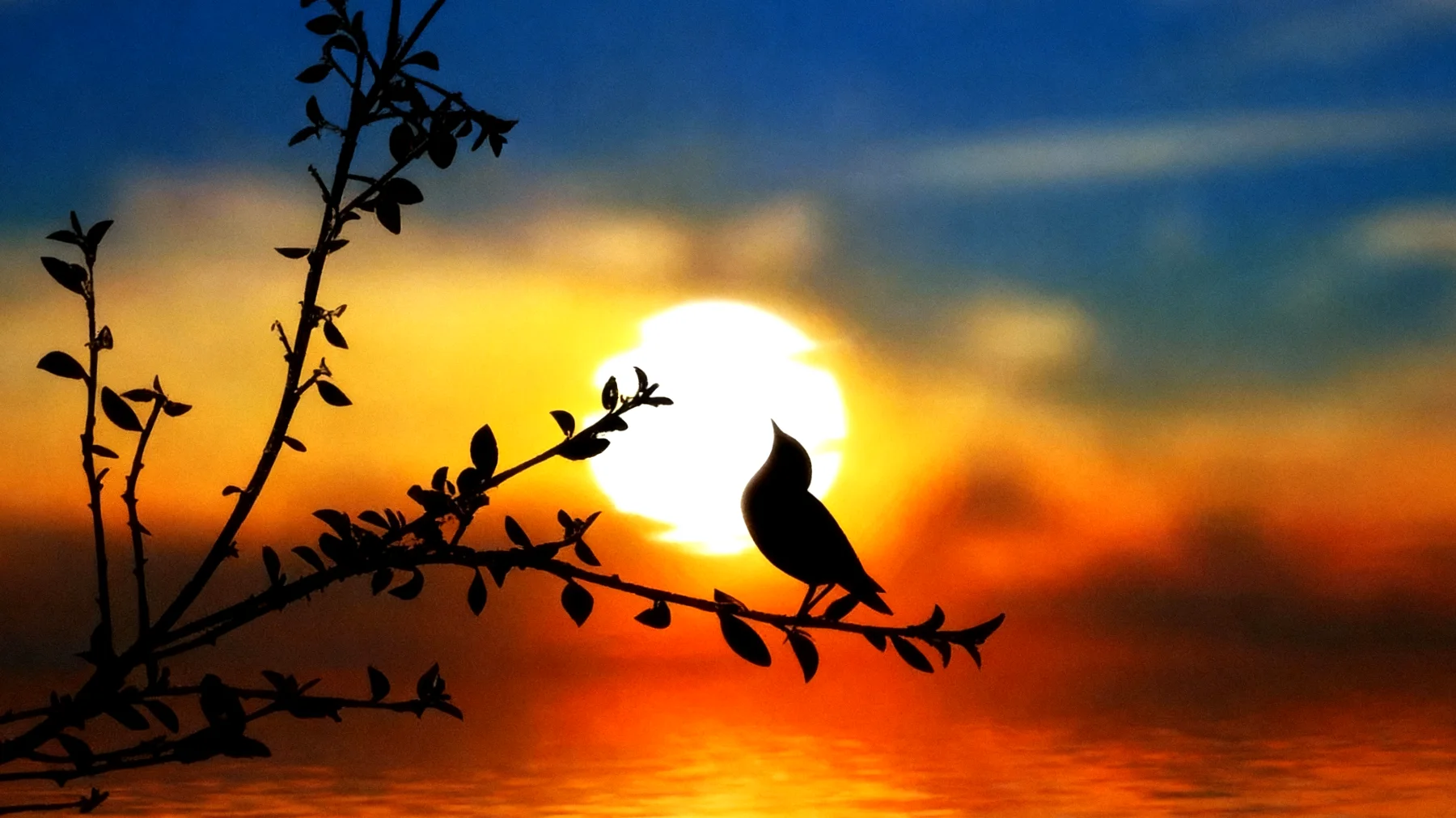 Beautiful 2026-01-16T16:33:40.585Z"