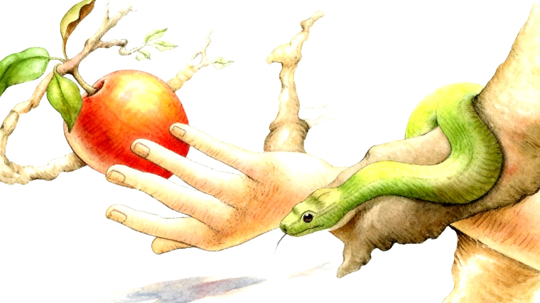 Forbidden Fruit2026-01-12T16:53:46.056Z"