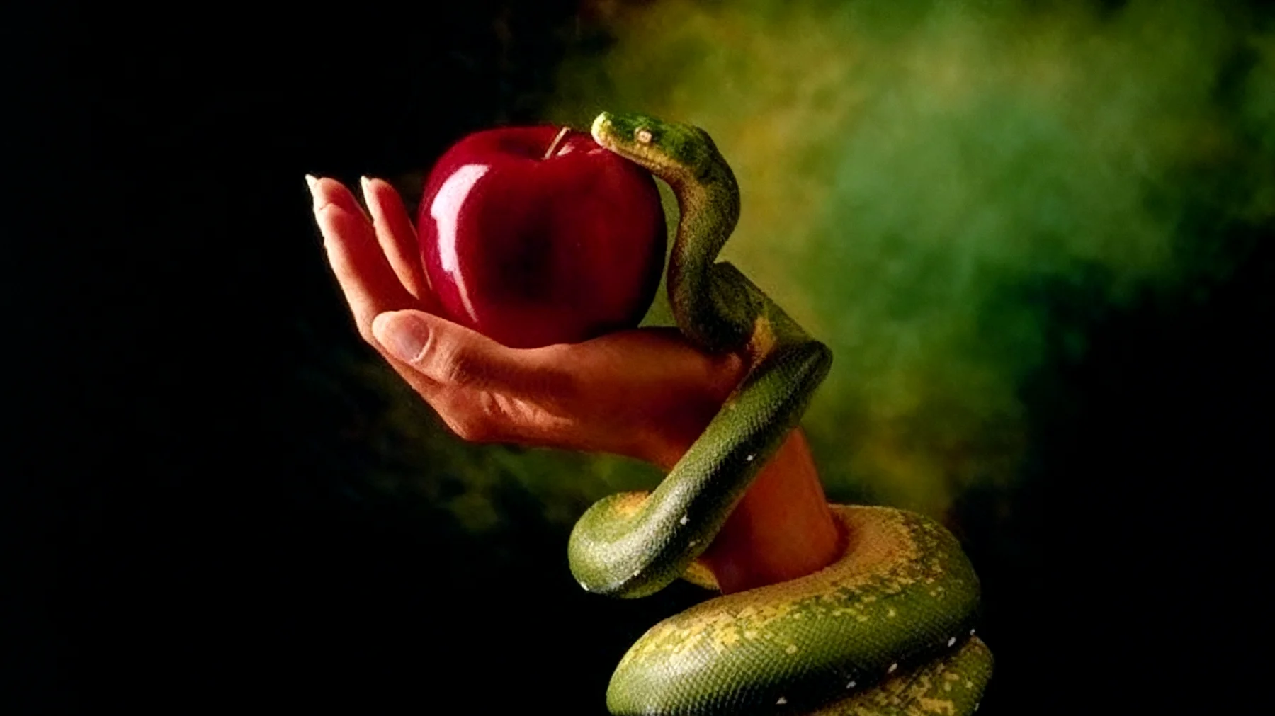 Forbidden Fruit2026-01-14T16:59:27.799Z"