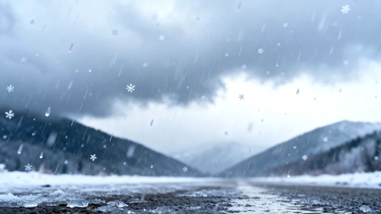 Meteo"