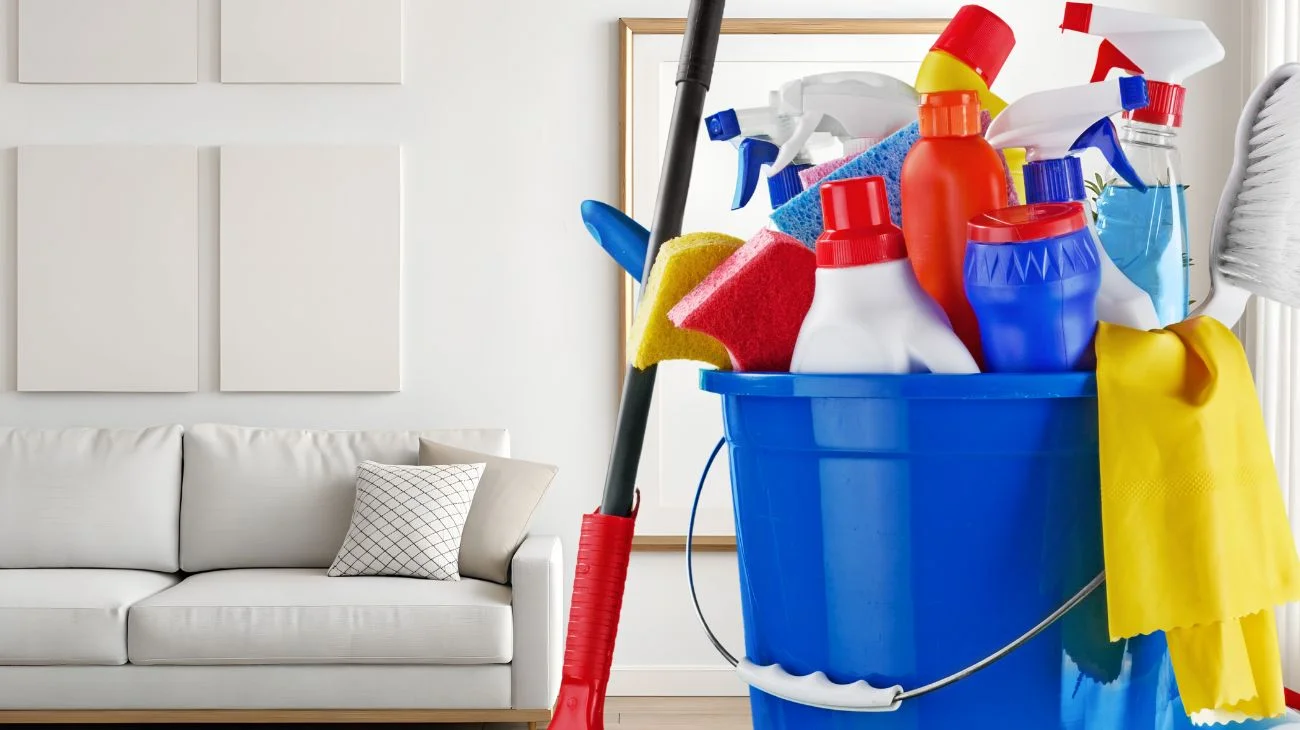 Pulizie di casa (1)