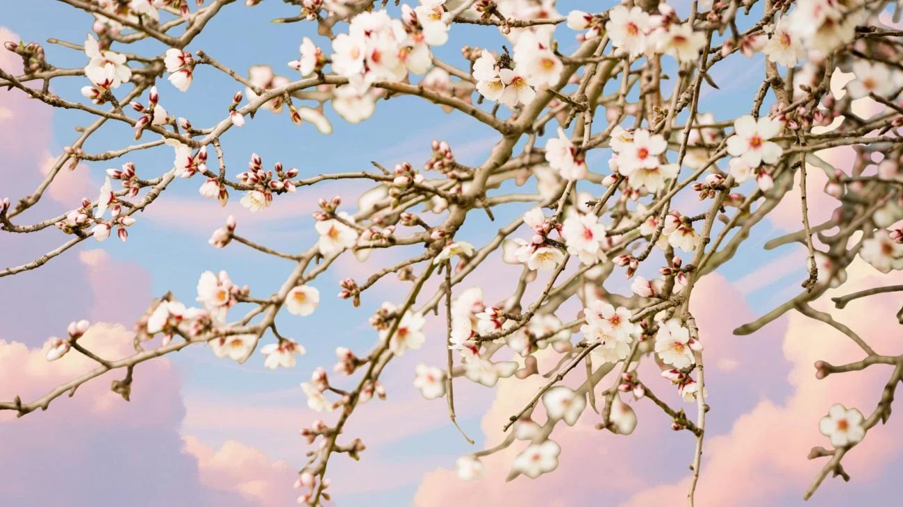 Il fiore migliore da acquistare a febbraio: balcone profumato anche d'inverno
