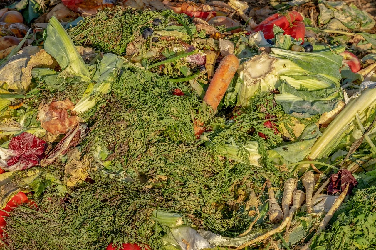 Gli scarti della cucina che butti ogni giorno possono trasformare il tuo orto in qualcosa di incredibile2026-05-02T10:18:56.445Z"